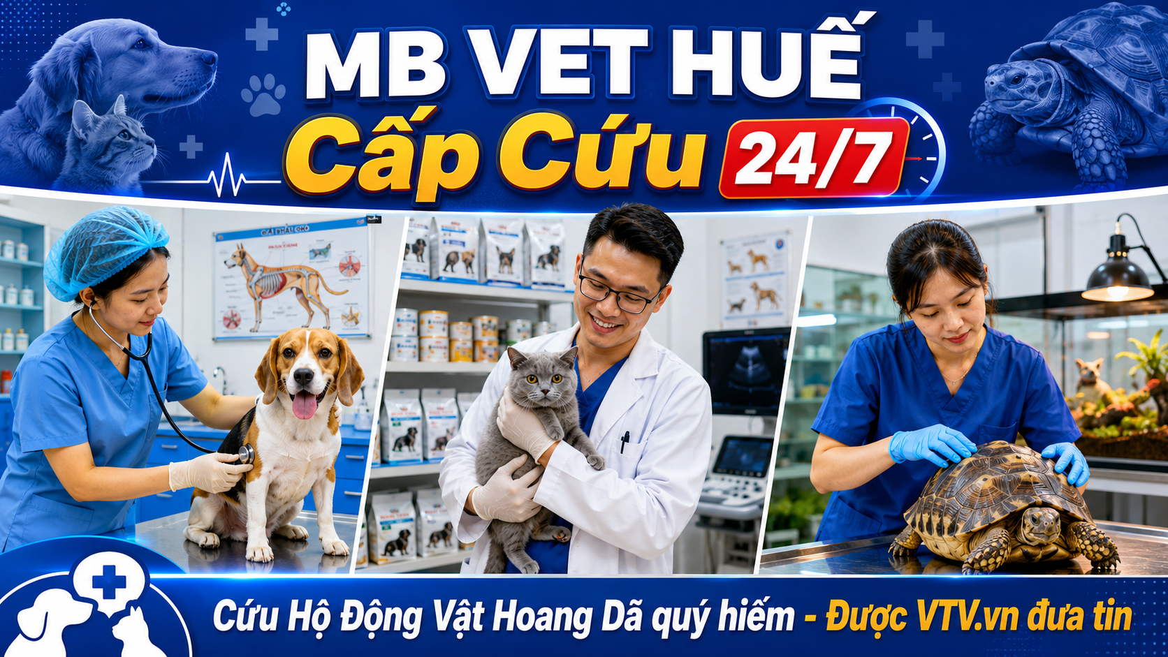 Bệnh Viện Thú Y MB VET HUẾ